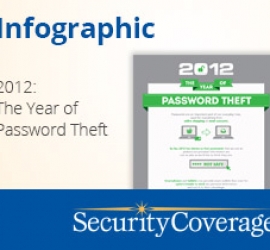 The Year of Password Theft – 2012