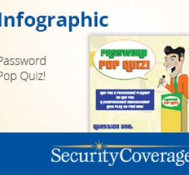 Password Pop Quiz Infographic