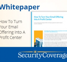 Turn Your Email into a Profit Center